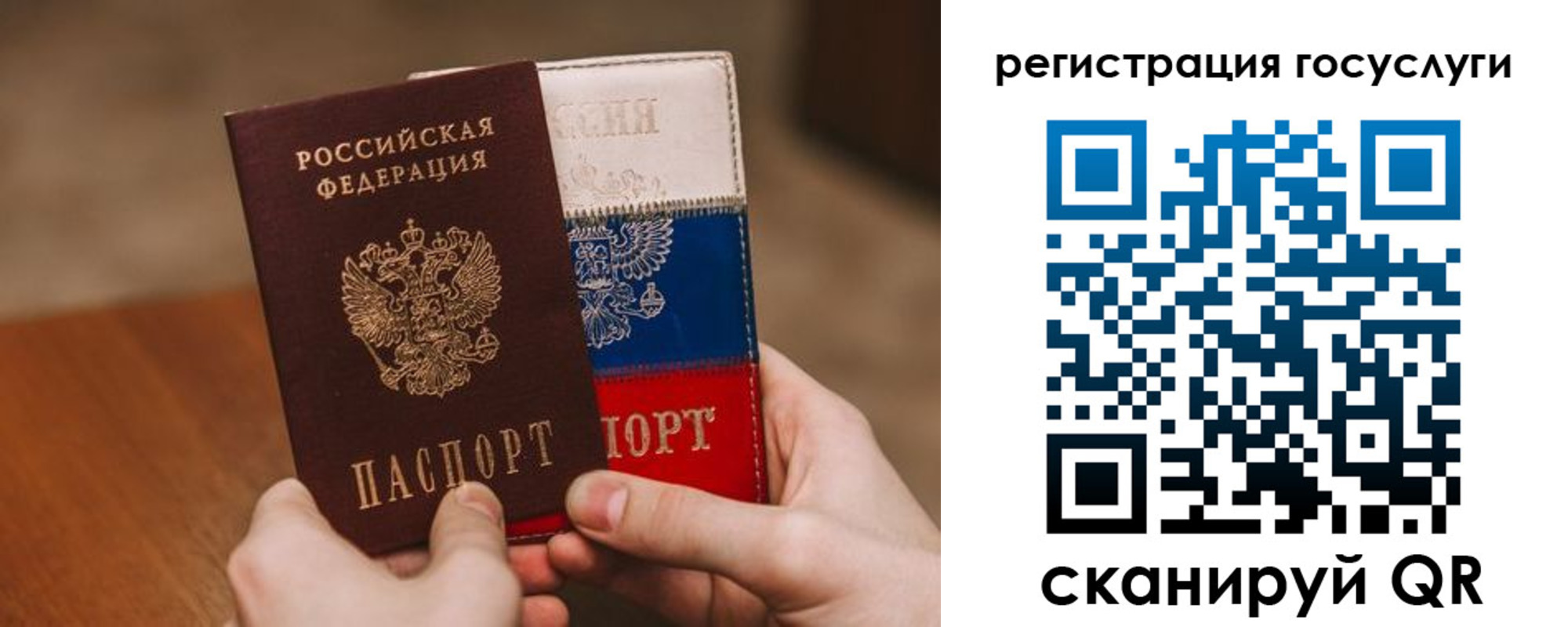 прописка поиск в Смоленске